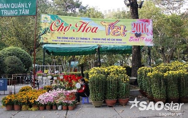 khongkhiTetSaiGon2016 (47)